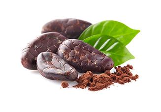 Chocolate Cacao Superfood Nutritional Shake by Rockin' Wellness